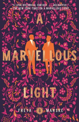 A Marvellous Light cover